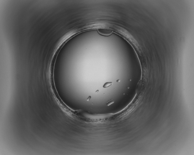 X0000116421426200912150949