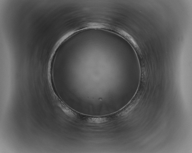 X0000116421427200912150949