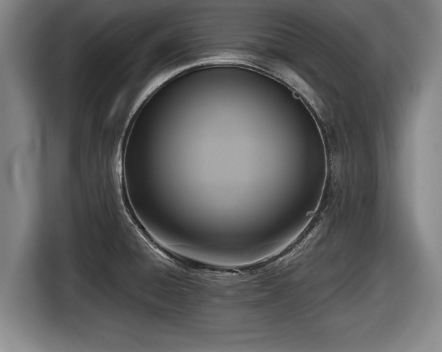 X0000116421428200912150949