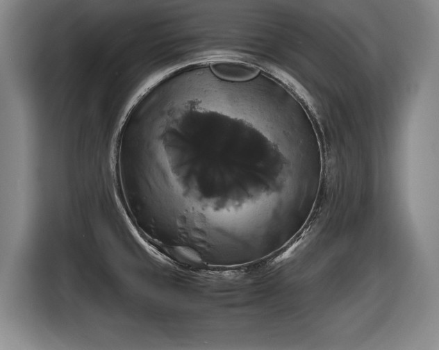 X0000116421429200912150949