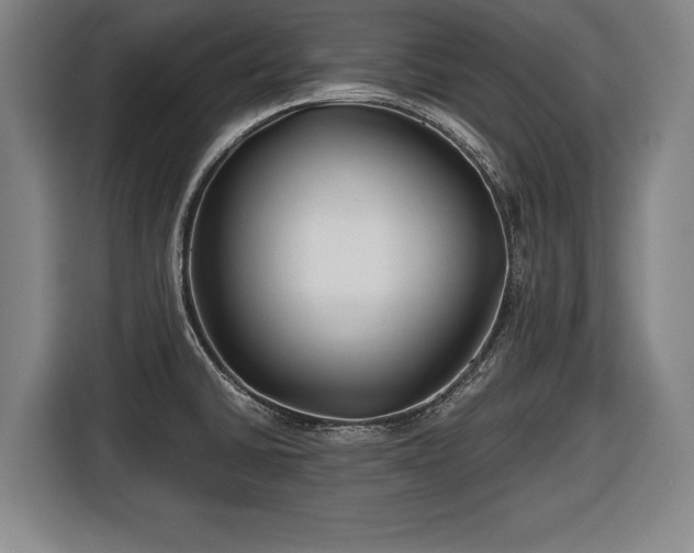 X0000116421430200912150949