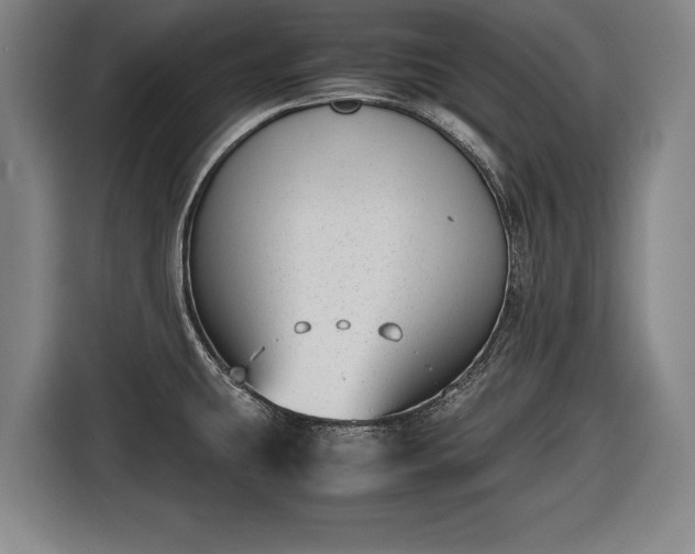 X0000116421431200912150949