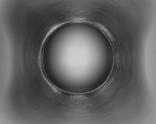 X0000116421432200912150949