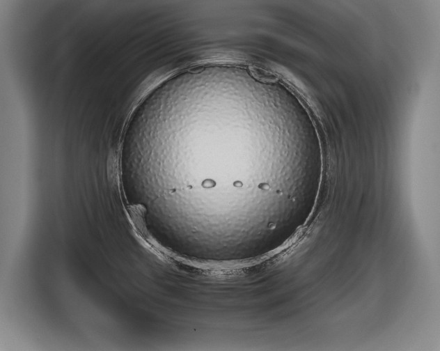 X0000116421433200912150949