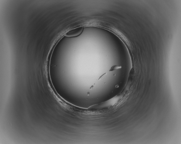 X0000116421434200912150949