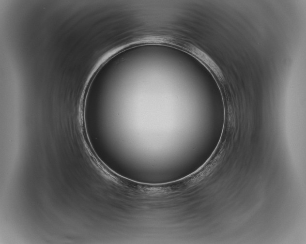 X0000116421436200912150949
