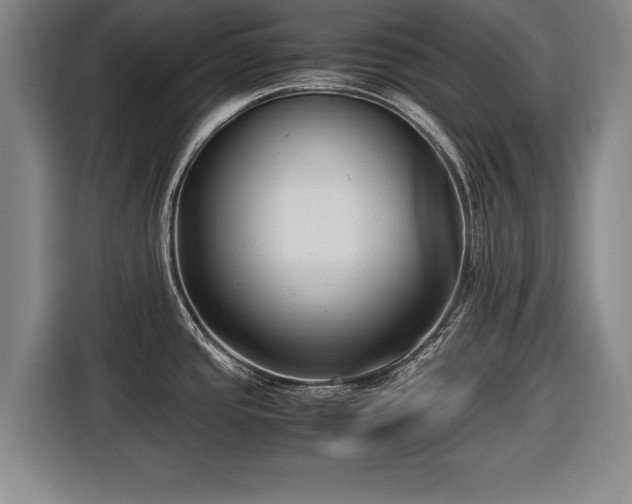 X0000116421437200912150949