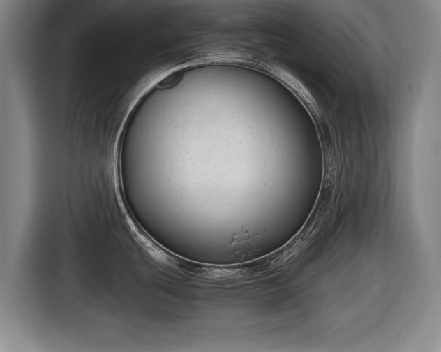 X0000116421439200912150949