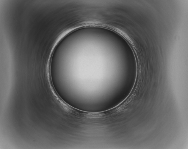 X0000116421440200912150949