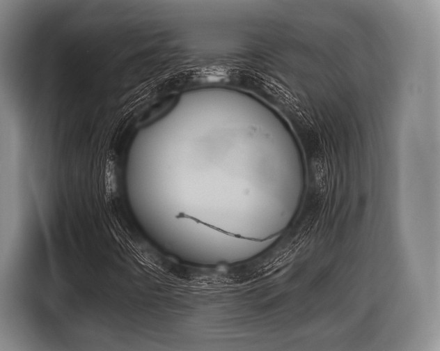 X0000116421442200912150949