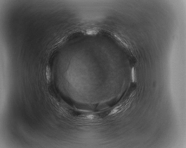 X0000116421443200912150949