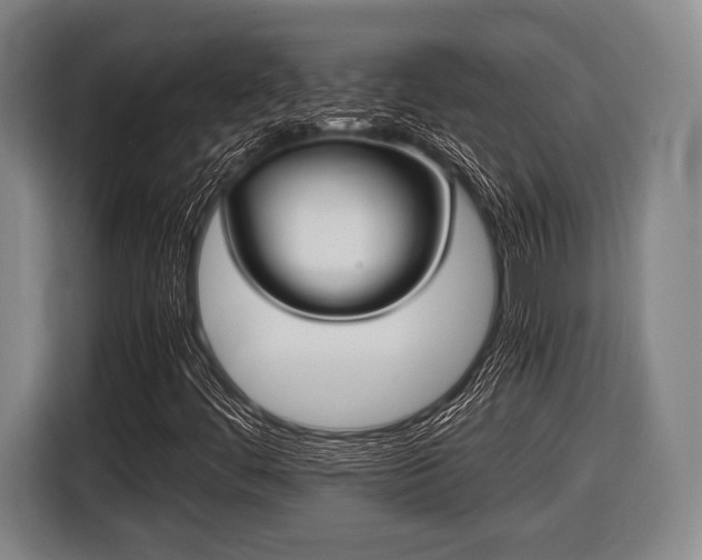 X0000116421444200912150949