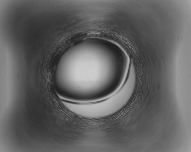 X0000116421445200912150949