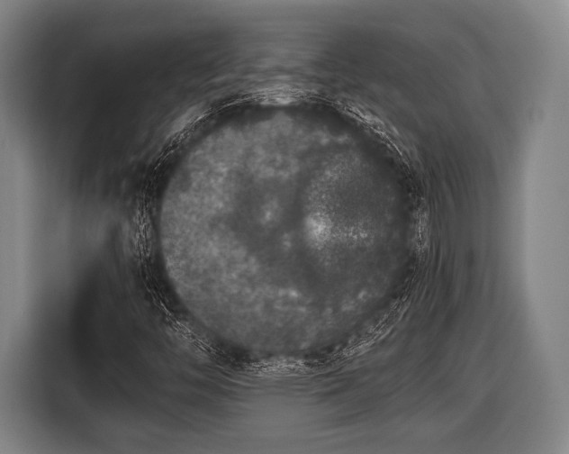 X0000116421446200912150949