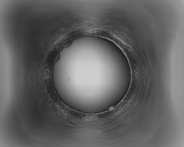 X0000116421447200912150949