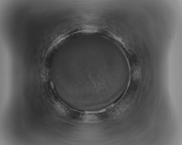 X0000116421448200912150949