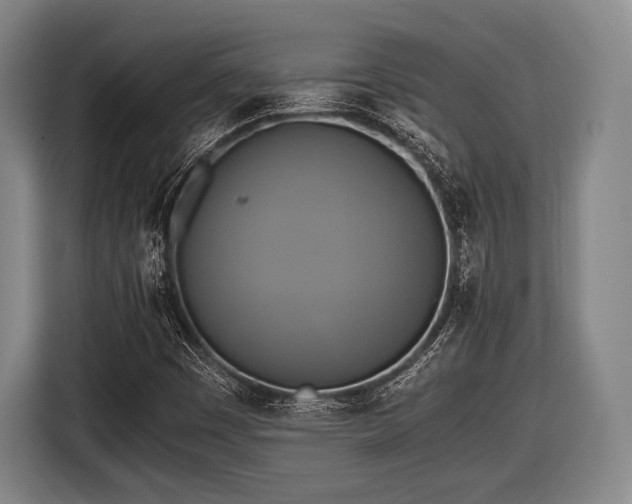X0000116421449200912150949