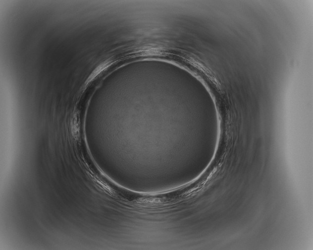 X0000116421450200912150949