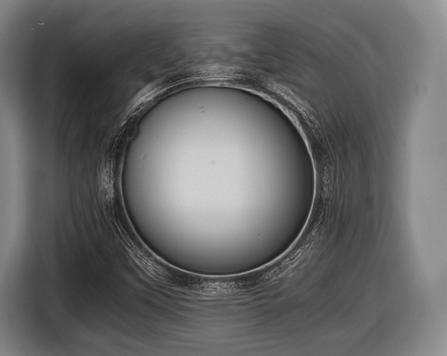 X0000116421451200912150949
