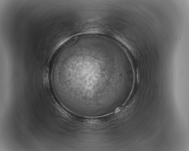 X0000116421452200912150948