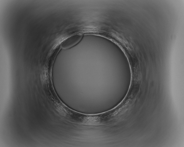 X0000116421453200912150948