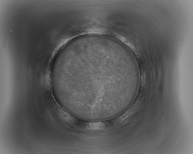 X0000116421454200912150948