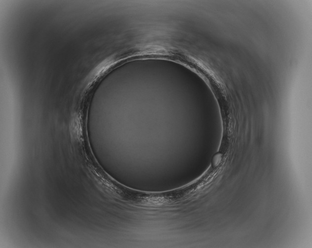 X0000116421455200912150948