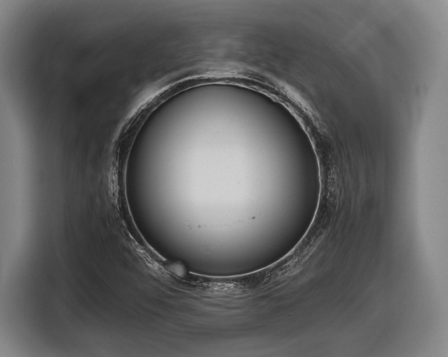X0000116421456200912150948