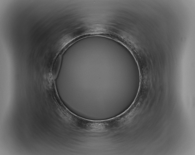 X0000116421457200912150948