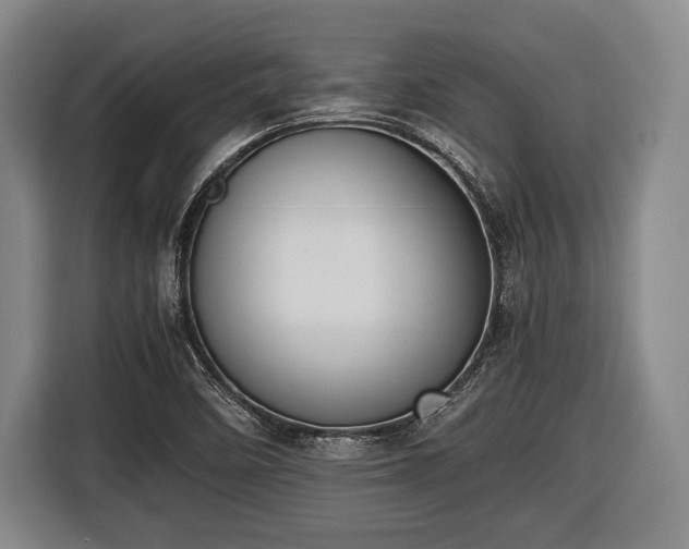 X0000116421458200912150948