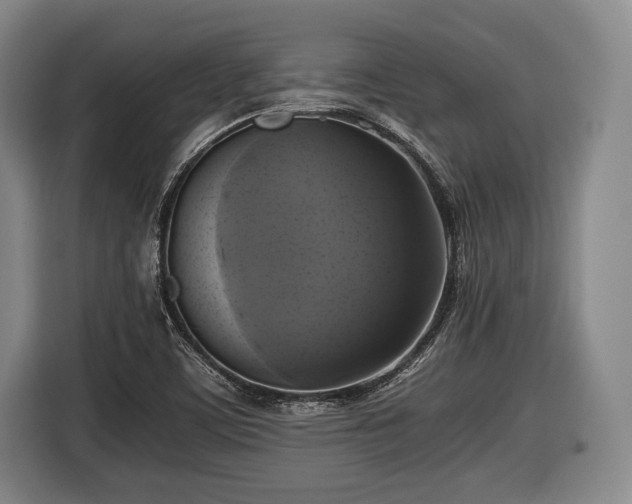 X0000116421459200912150948