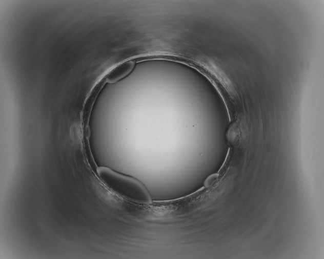 X0000116421460200912150948