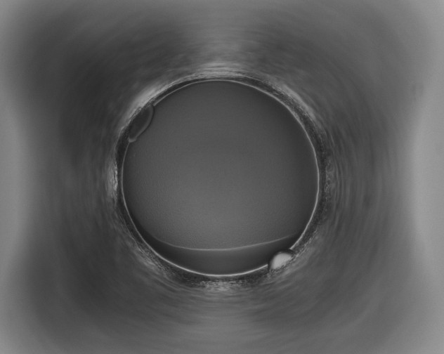 X0000116421461200912150948