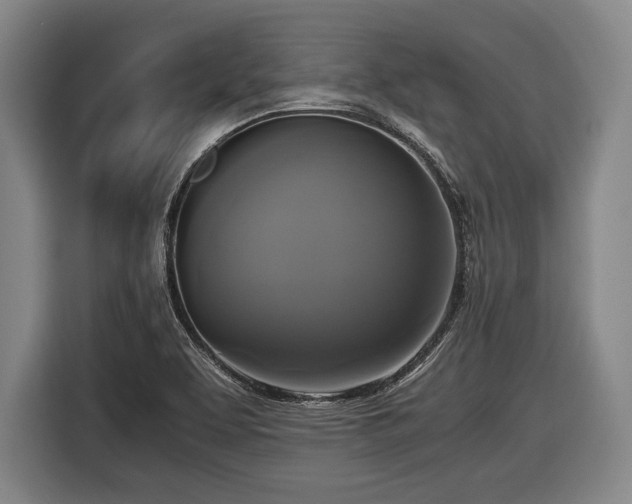 X0000116421463200912150948