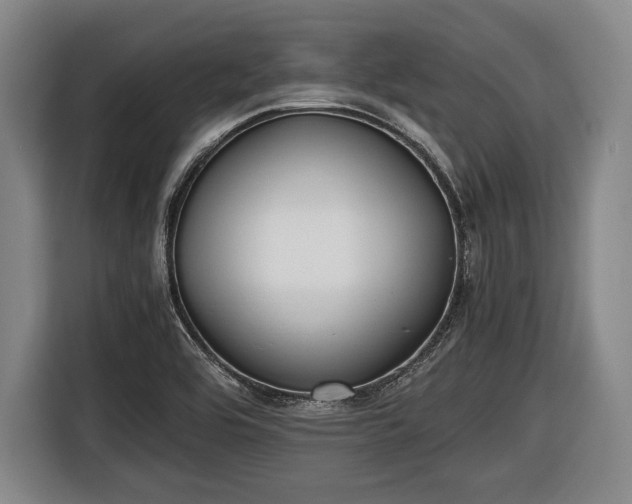 X0000116421464200912150948