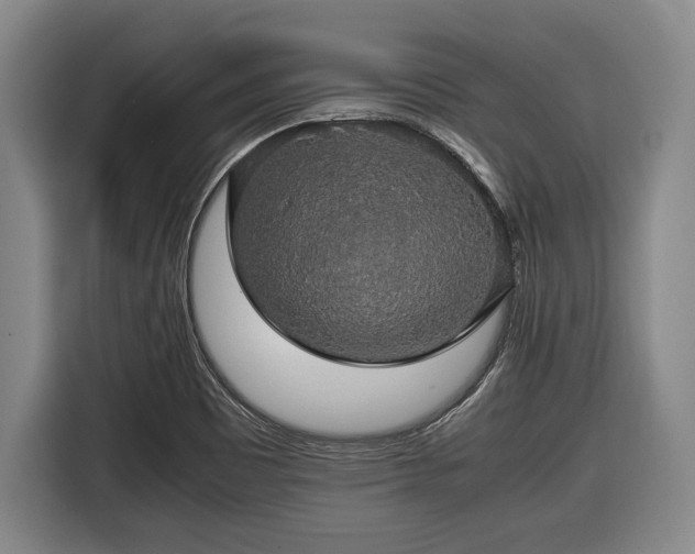 X0000116421465200912150948