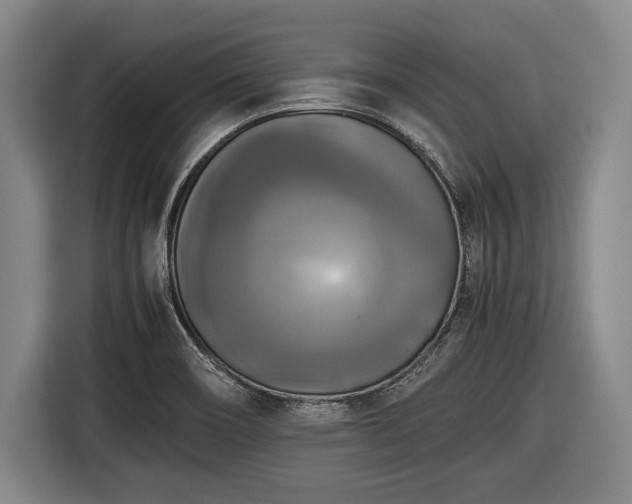 X0000116421466200912150948