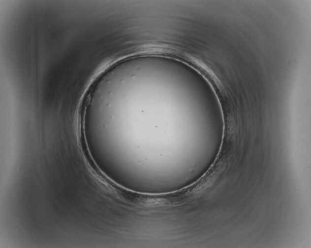 X0000116421467200912150948