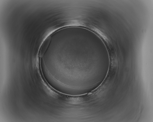X0000116421468200912150948