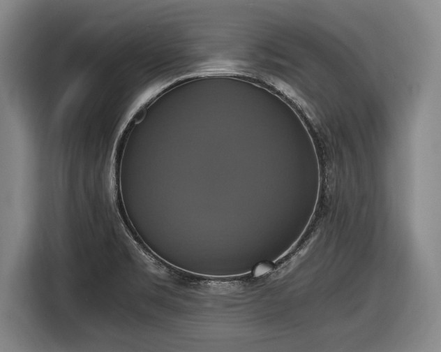 X0000116421469200912150948