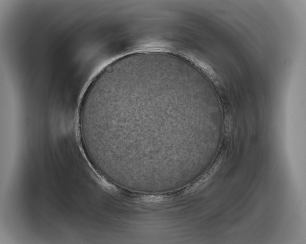 X0000116421470200912150948