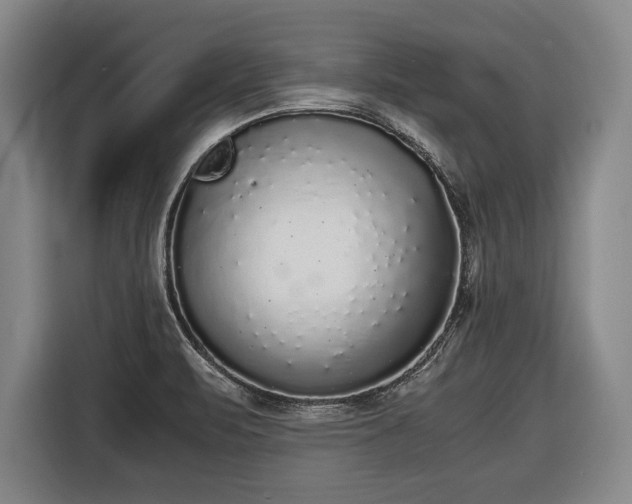 X0000116421471200912150948
