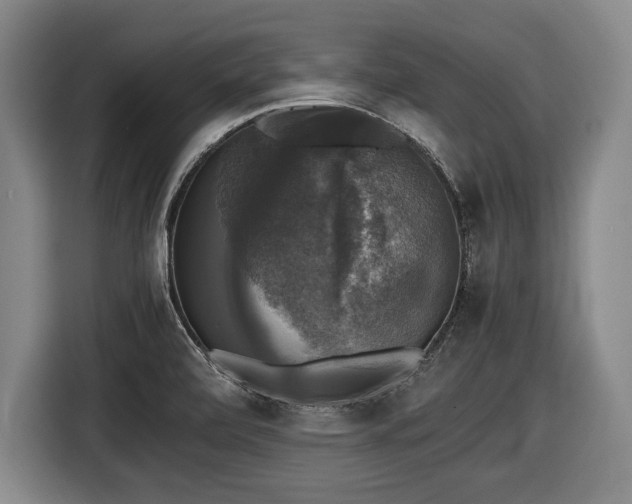 X0000116421472200912150948