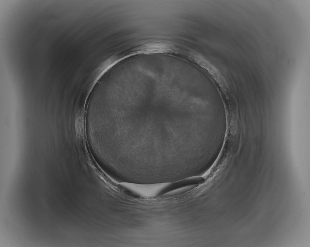 X0000116421473200912150948