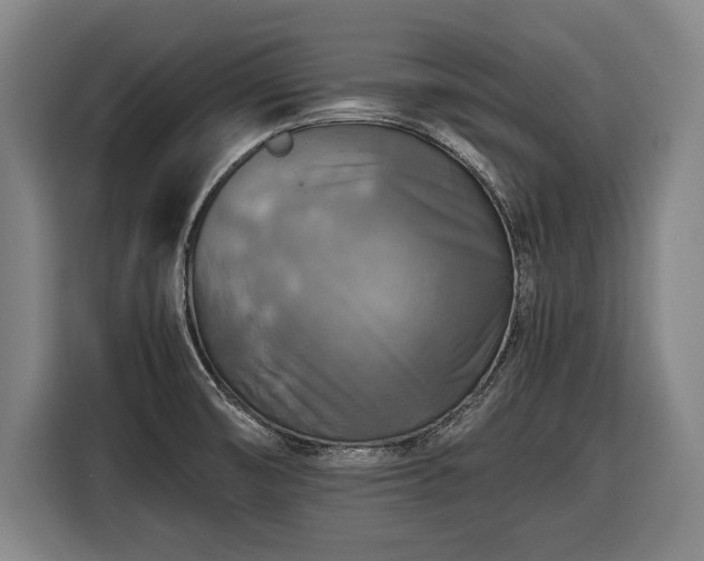 X0000116421474200912150948