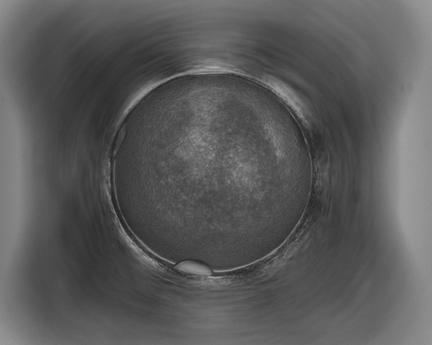 X0000116421476200912150948