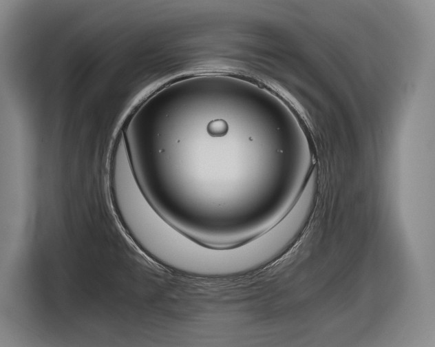 X0000116421477200912150948