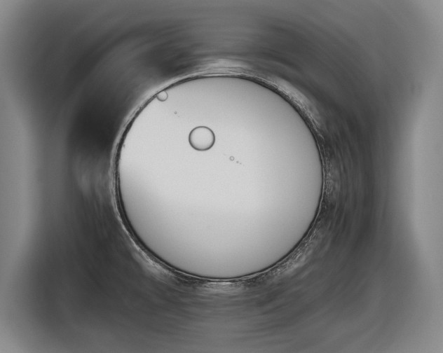 X0000116421478200912150948