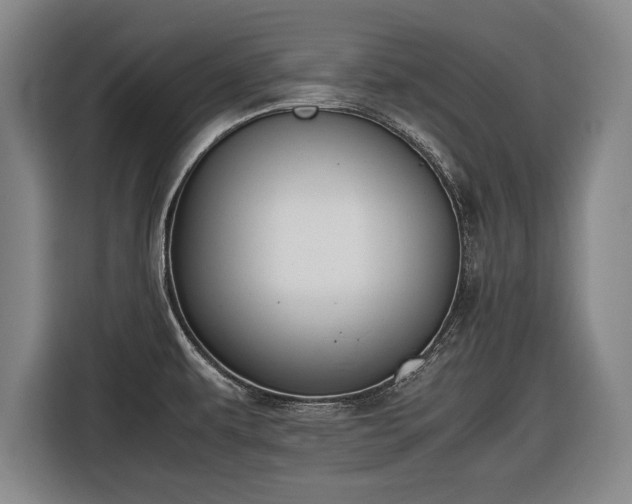 X0000116421479200912150948