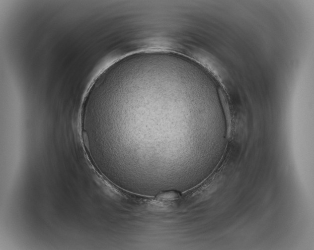 X0000116421480200912150948